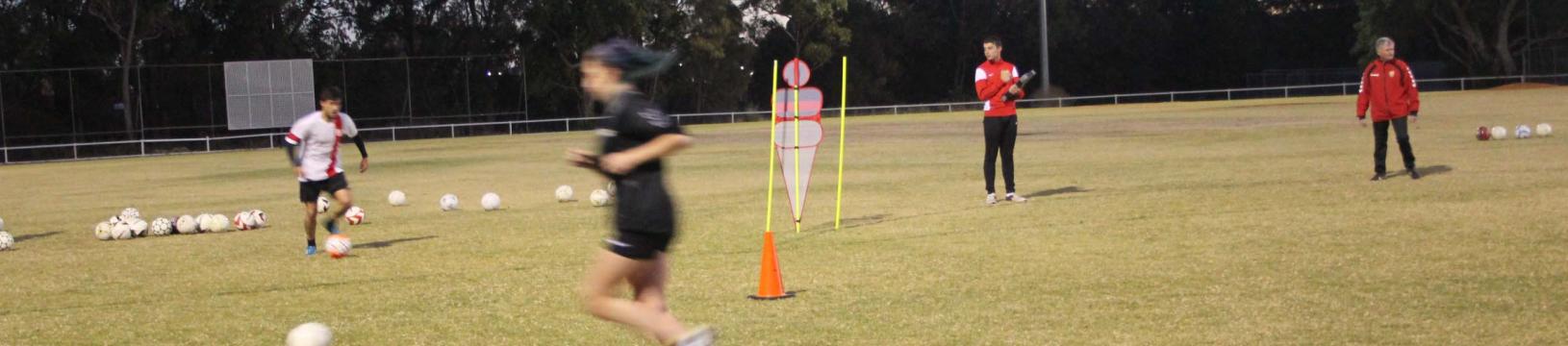 Soccer Skill development