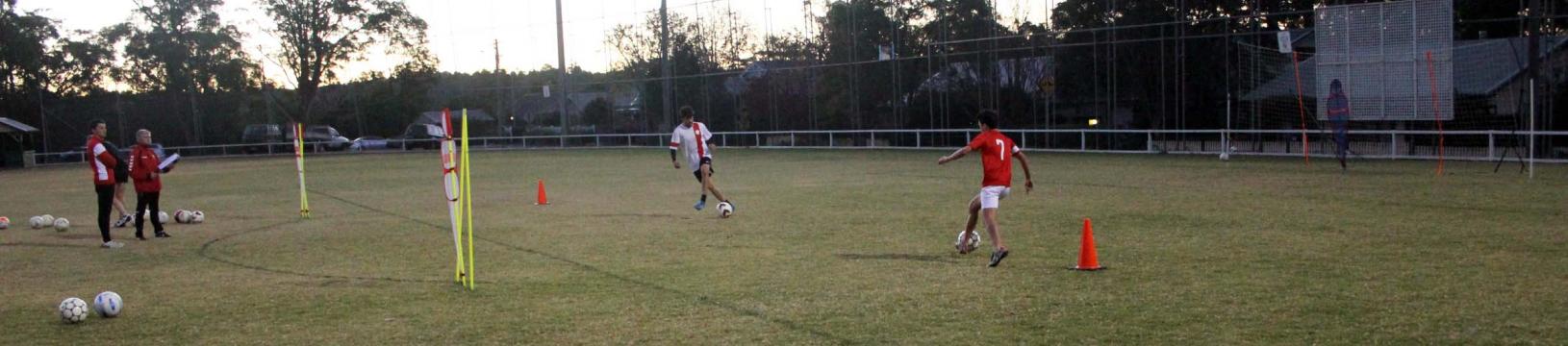 Skill based soccer coaching